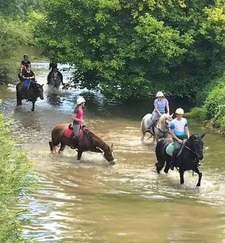 La Dolce Casa En M Villa